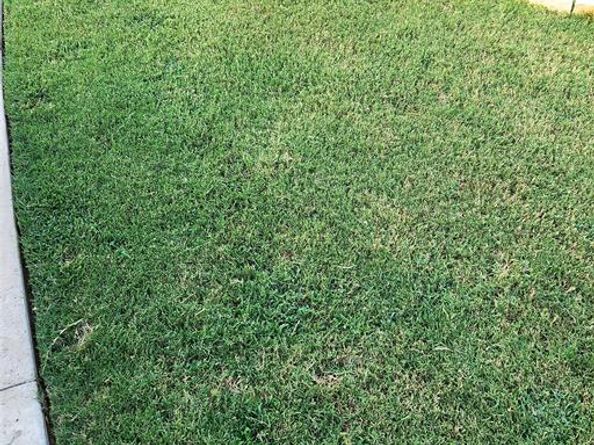 351  Peachtree Lane , Princeton Texas 75407