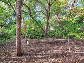 815  Rolling Meadows Court , Allen Texas 75013