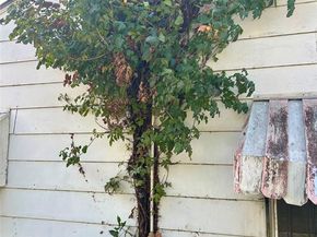 1840  Portland Avenue , Fort Worth Texas 76102