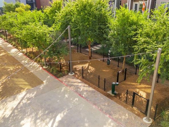 1053  Manacor Lane , Dallas Texas 75212