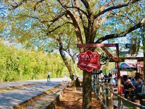 5200  Martel Avenue  6Q, Dallas Texas 75206