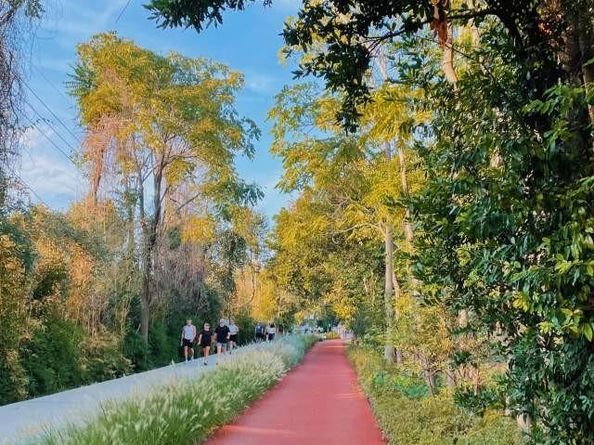 5200  Martel Avenue  6Q, Dallas Texas 75206