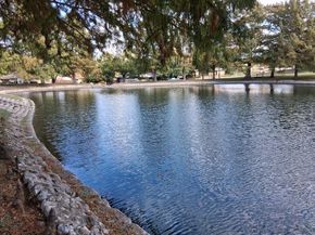 1218  Merrimac Trail , Garland Texas 75043