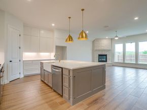 7286  Velvetleaf  , Benbrook Texas 76126