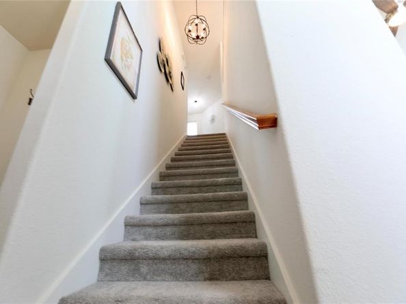 8404  Timberbrook Lane , Dallas Texas 75249