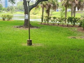 3850 Washington St 314, Hollywood FL 33021