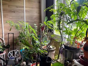 5985 Del Lago Cir 119, Sunrise FL 33313