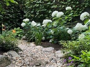 195 Winthrop Rd 1, Brookline MA 02445