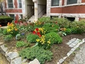 195 Winthrop Rd 1, Brookline MA 02445