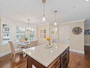 6 Audubon Way 6, Canton MA 02021