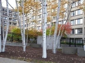 1731 Beacon St 1502, Brookline MA 02445