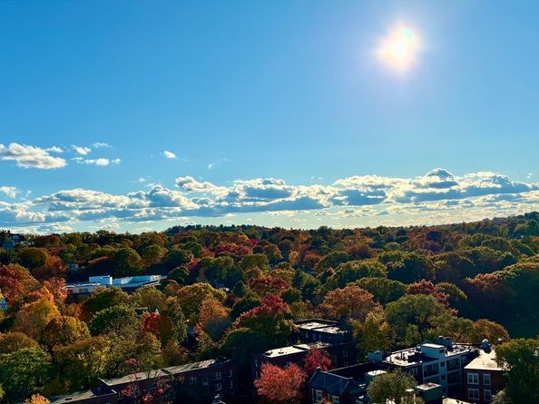 1731 Beacon St 1502, Brookline MA 02445