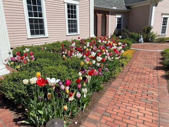 5 Hamlins Crossing, Dover MA 02030
