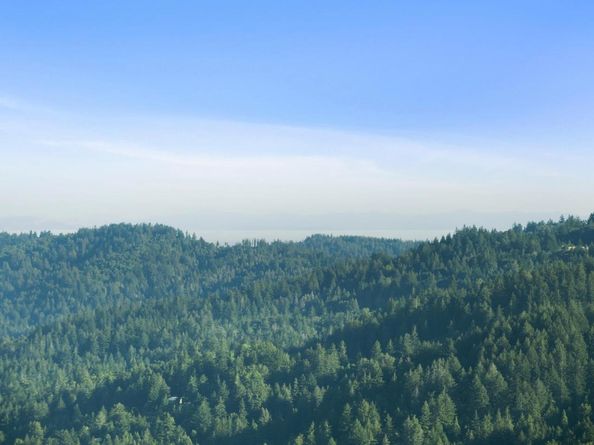 16999 Mcgill Road, Saratoga CA 95070