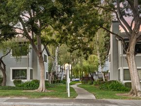 556 Quail Bush Court, San Jose CA 95117