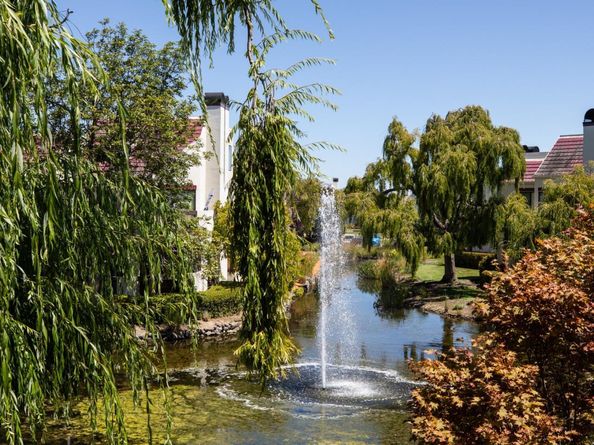 223 Shorebird Circle, Redwood Shores CA 94065