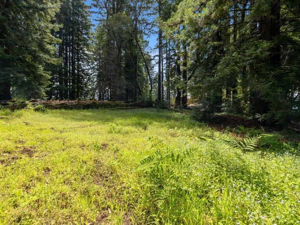 220 Hillary Heights, Boulder Creek CA 95006