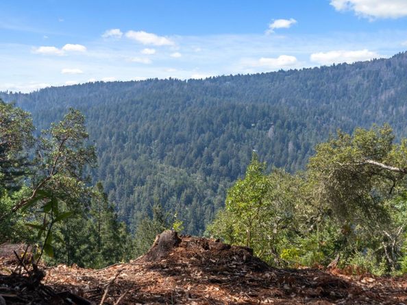 220 Hillary Heights, Boulder Creek CA 95006