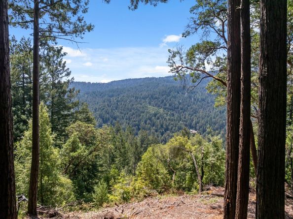 220 Hillary Heights, Boulder Creek CA 95006