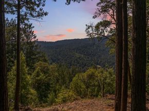 220 Hillary Heights, Boulder Creek CA 95006