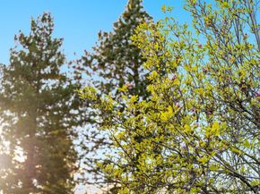 11891 Brookglen Drive, Saratoga CA 95070