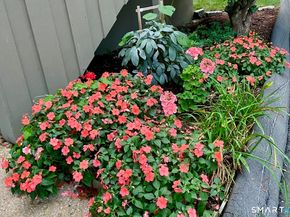 11 Ledgebrook Drive 11, Norwalk CT 06854