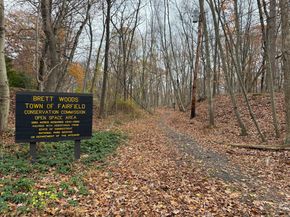 11 Judges Hollow Road, Fairfield CT 06824