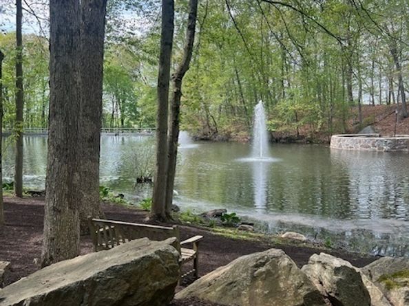 50 Aiken Street APT 144, Norwalk CT 06851