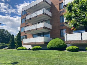 50 Birdseye Street