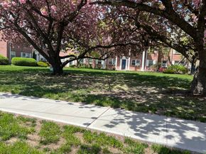 198 Seaton Road Apt 1, Stamford CT 06902