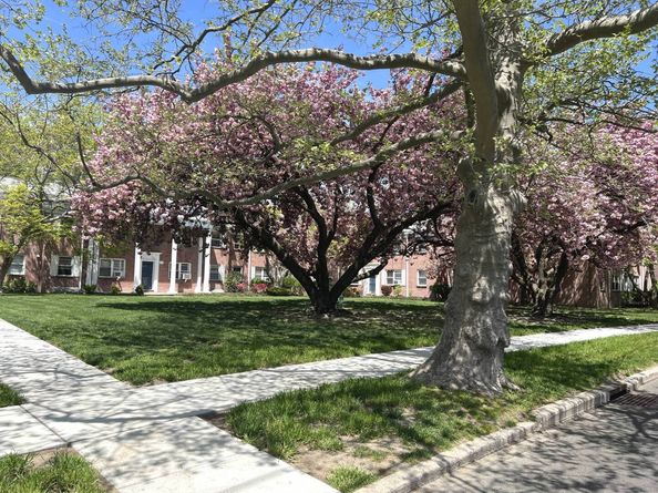 198 Seaton Road Apt 1, Stamford CT 06902