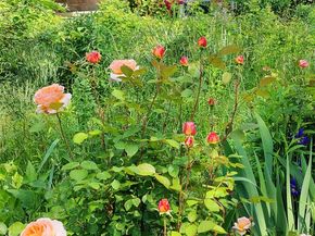 34 Davenport Drive, Stamford CT 06902