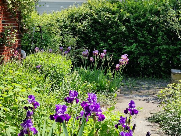 34 Davenport Drive, Stamford CT 06902