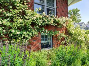 34 Davenport Drive, Stamford CT 06902