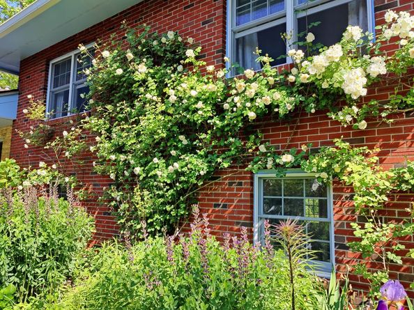 34 Davenport Drive, Stamford CT 06902