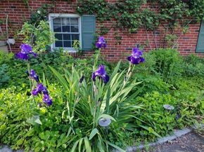 34 Davenport Drive, Stamford CT 06902