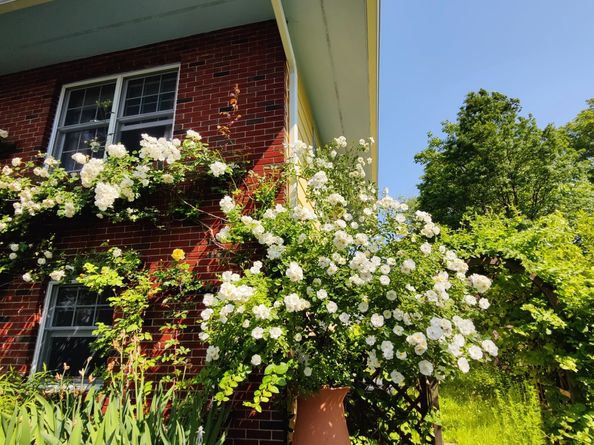 34 Davenport Drive, Stamford CT 06902