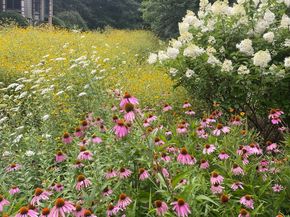 205 E Rocks Road, Norwalk CT 06851