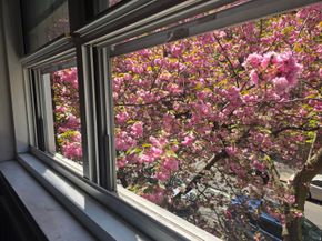 34-15 74th Street 2C, Queens NY 11372