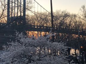 19-19 24th Avenue 102, Queens NY 11102