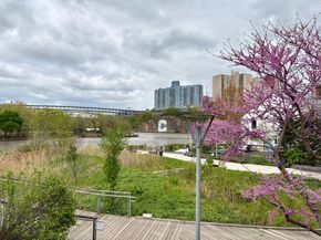 65 Park Terrace E C75, New York NY 10034