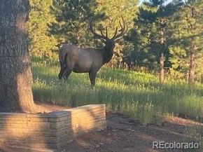 21967 Mountsfield Drive, Golden CO 80401