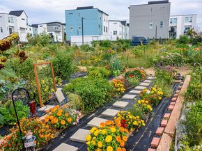 6737 Alan Drive, Denver CO 80221