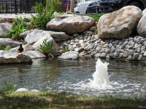 8500 E Jefferson Avenue 11C, Denver CO 80237