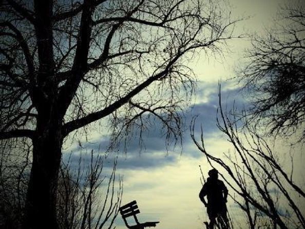 10115 W 25th Avenue 1, Lakewood CO 80215