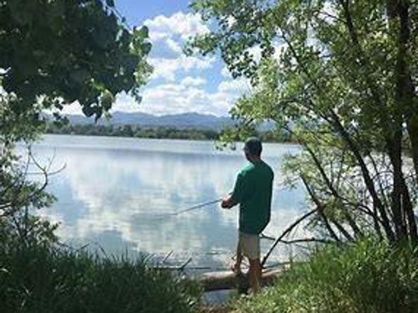 10115 W 25th Avenue 1, Lakewood CO 80215