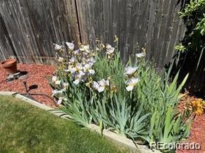 7408 S Estes Court, Littleton CO 80128