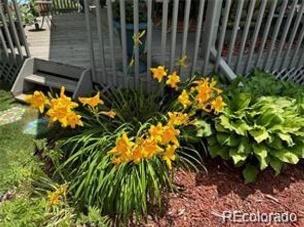 7408 S Estes Court, Littleton CO 80128