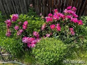 7408 S Estes Court, Littleton CO 80128