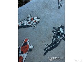 2037 Aster Lane, Lafayette CO 80026